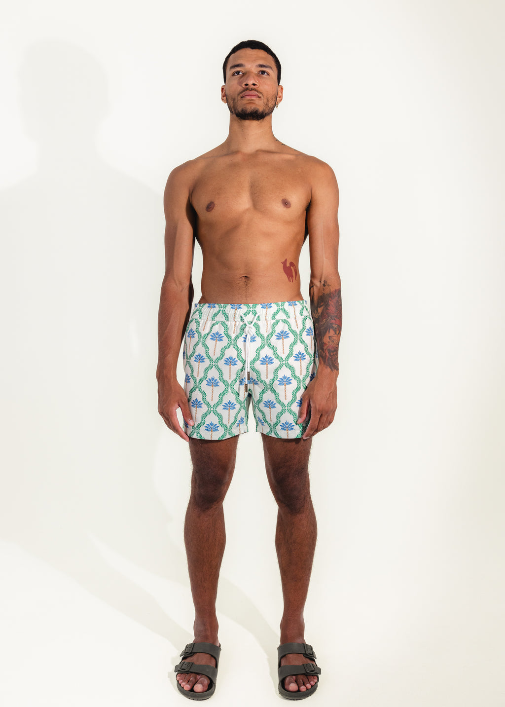 Tropea Swim Shorts